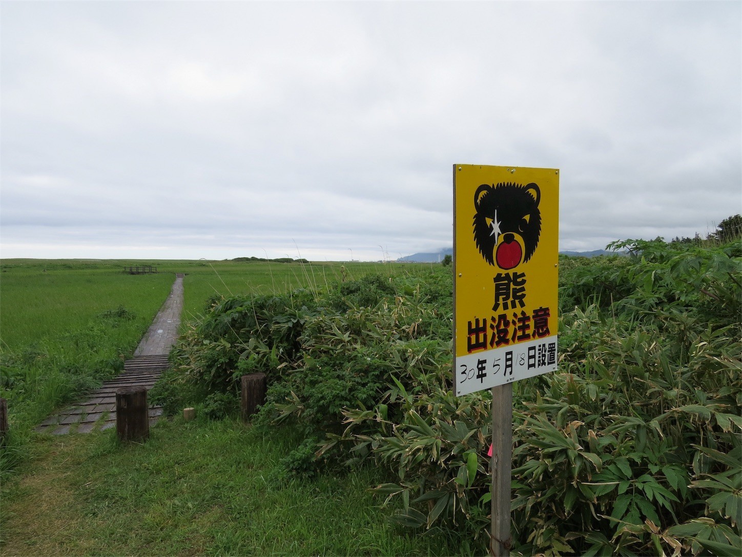 f:id:dollyosaka:20180626224732j:image