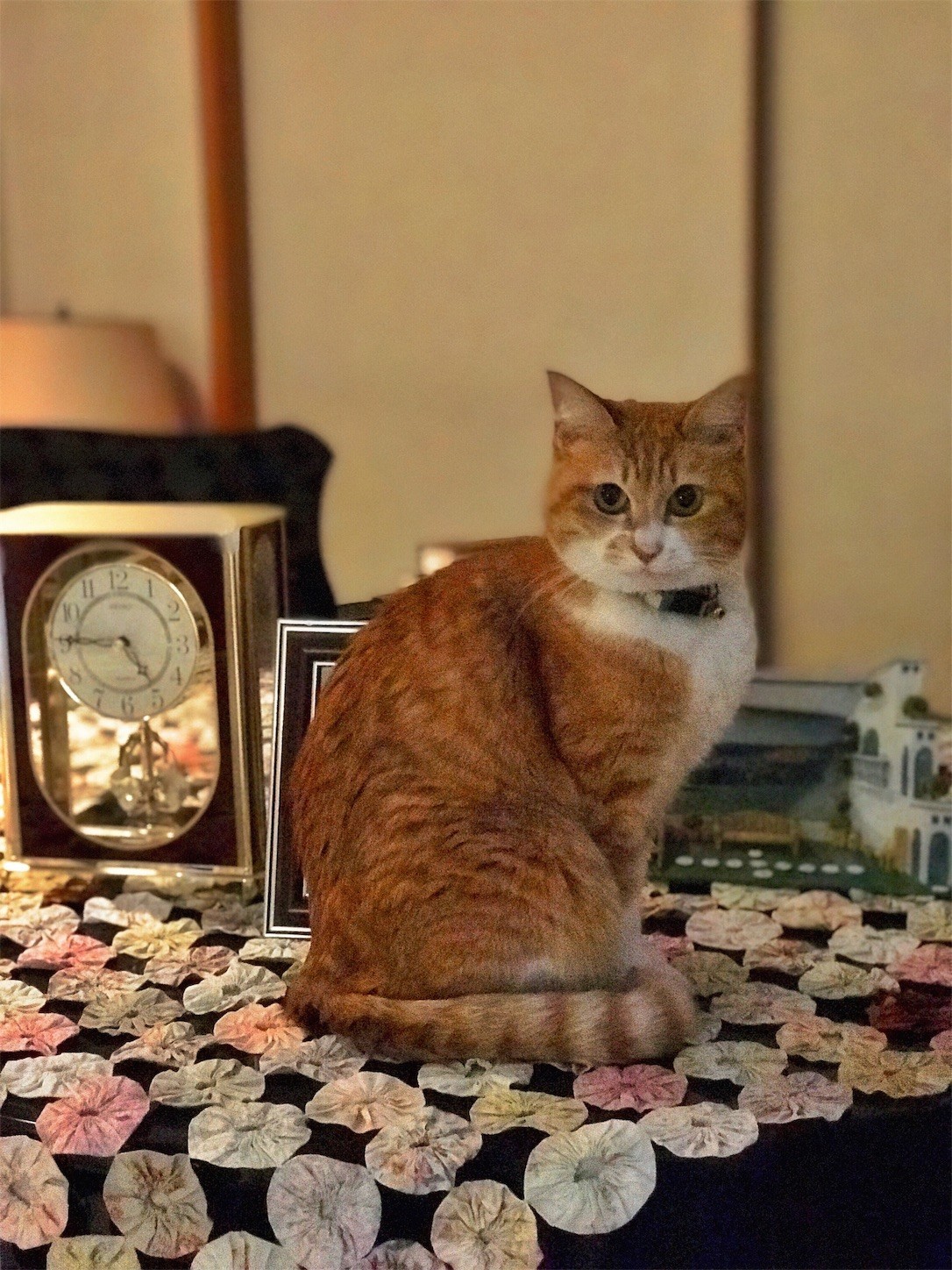 f:id:dollyosaka:20181105174213j:image