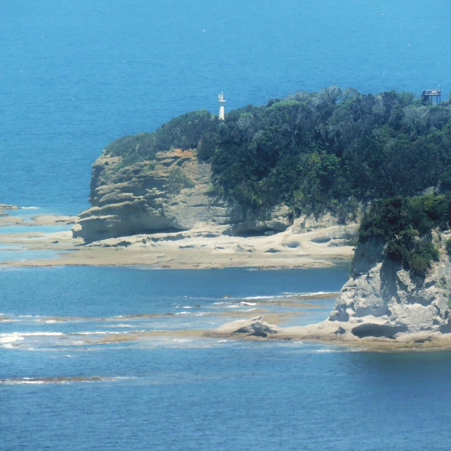 f:id:dollyosaka:20190523173612j:image