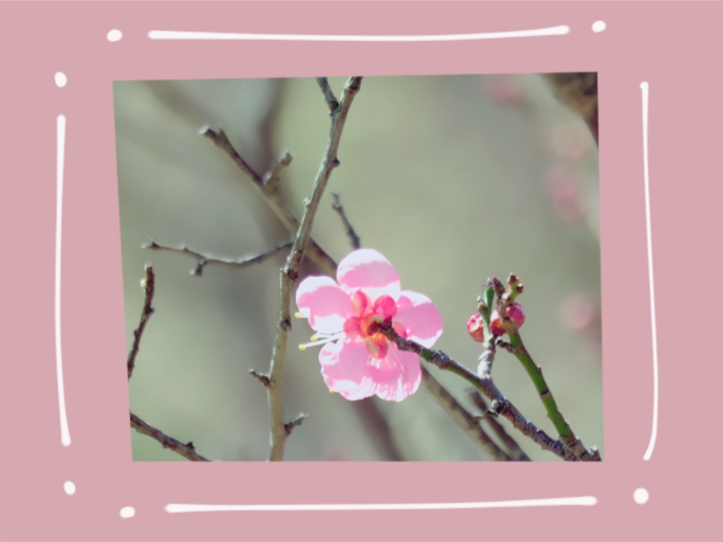 f:id:dollyosaka:20210126150326j:image