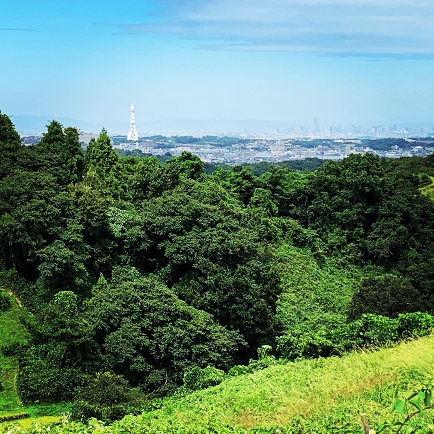 f:id:dollyosaka:20210921133350j:image