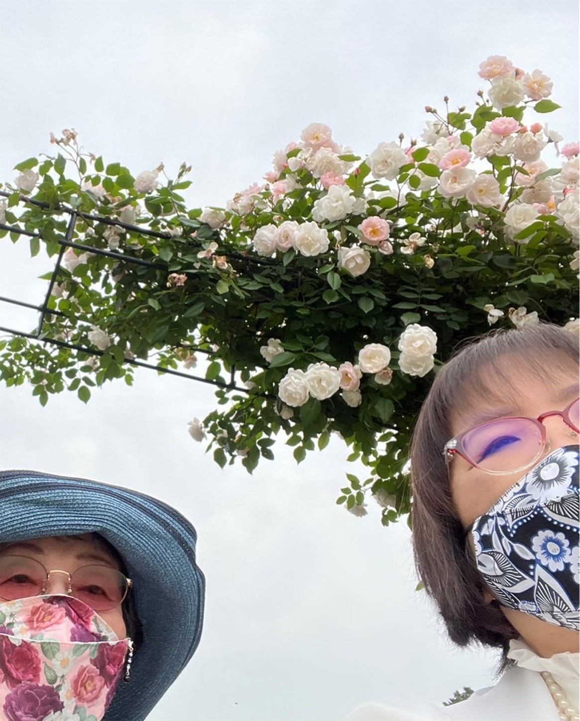 f:id:dollyosaka:20220520164947j:image