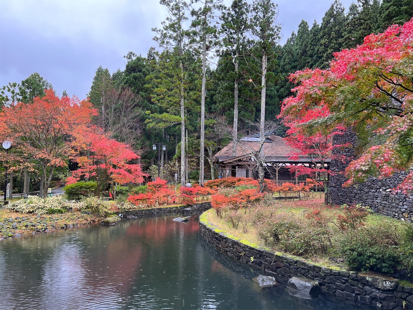 f:id:dollyosaka:20231112170135j:image f:id:dollyosaka:20231112170135j:image