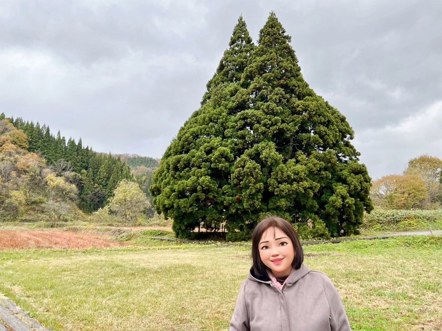 f:id:dollyosaka:20231114165555j:image