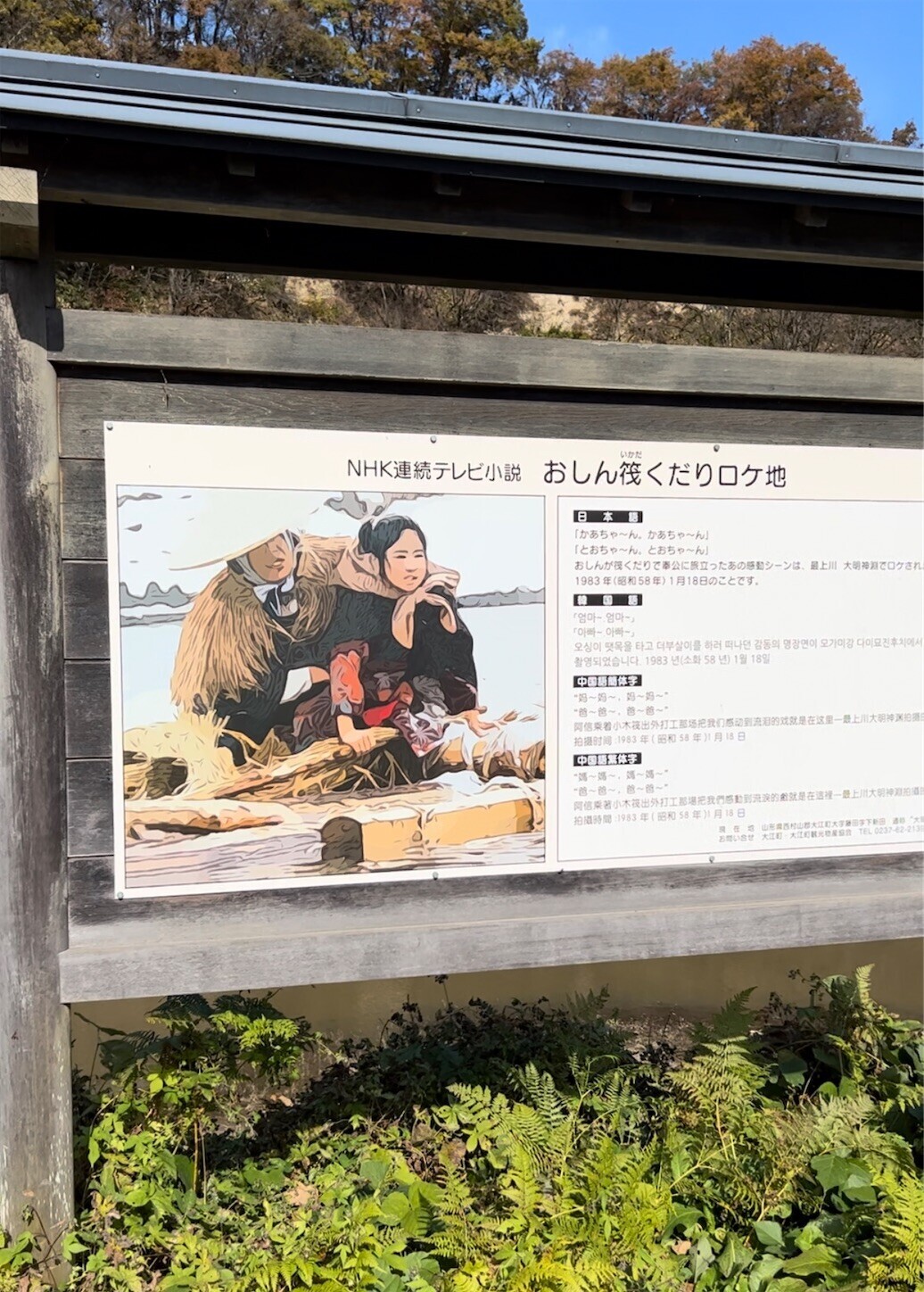 f:id:dollyosaka:20231115174312j:image