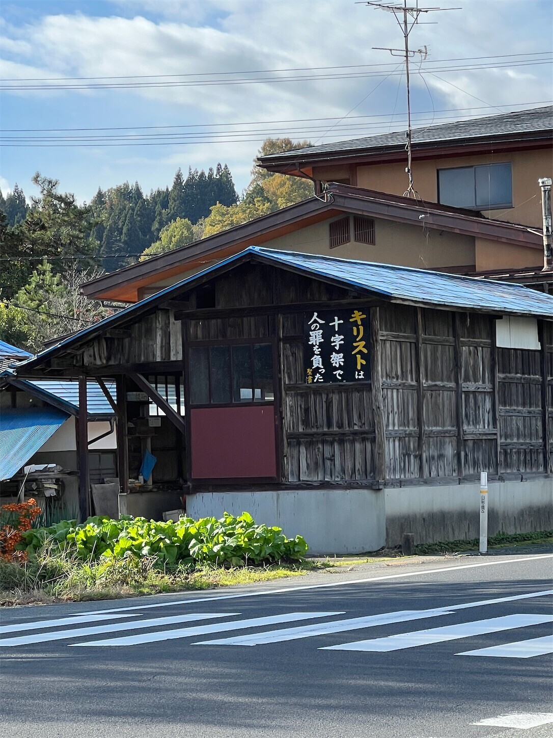 f:id:dollyosaka:20231115174433j:image