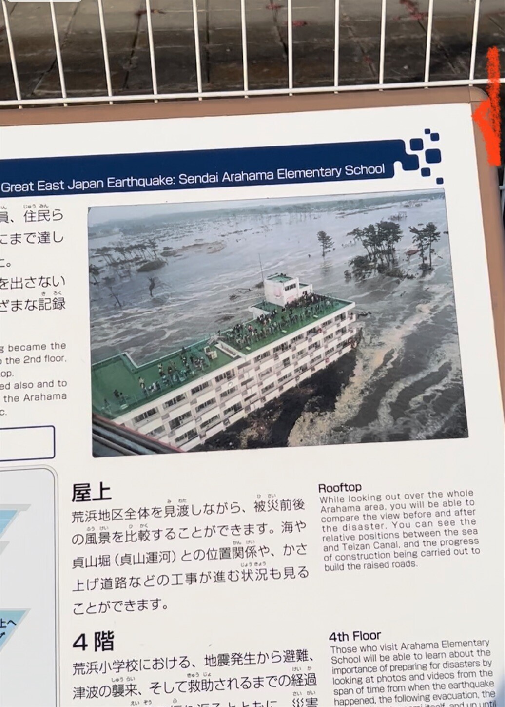 f:id:dollyosaka:20231115175235j:image