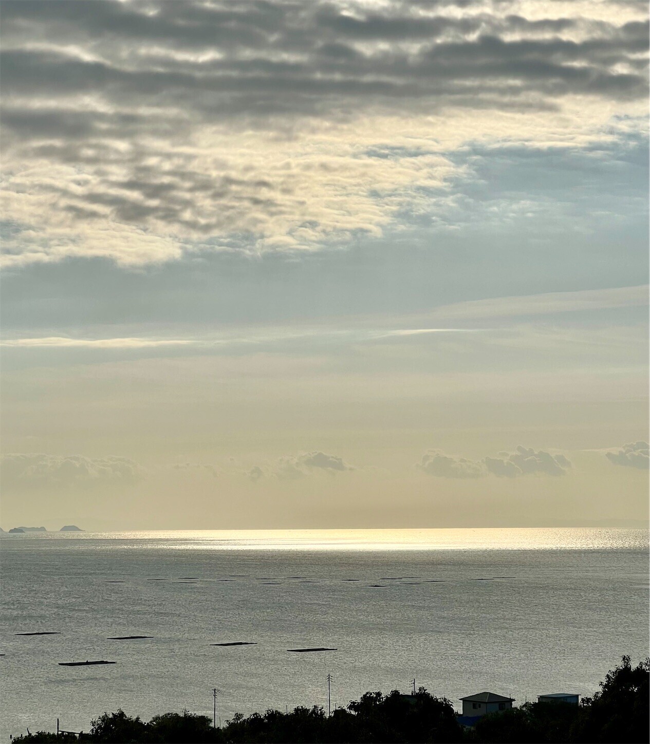 f:id:dollyosaka:20231129190841j:image