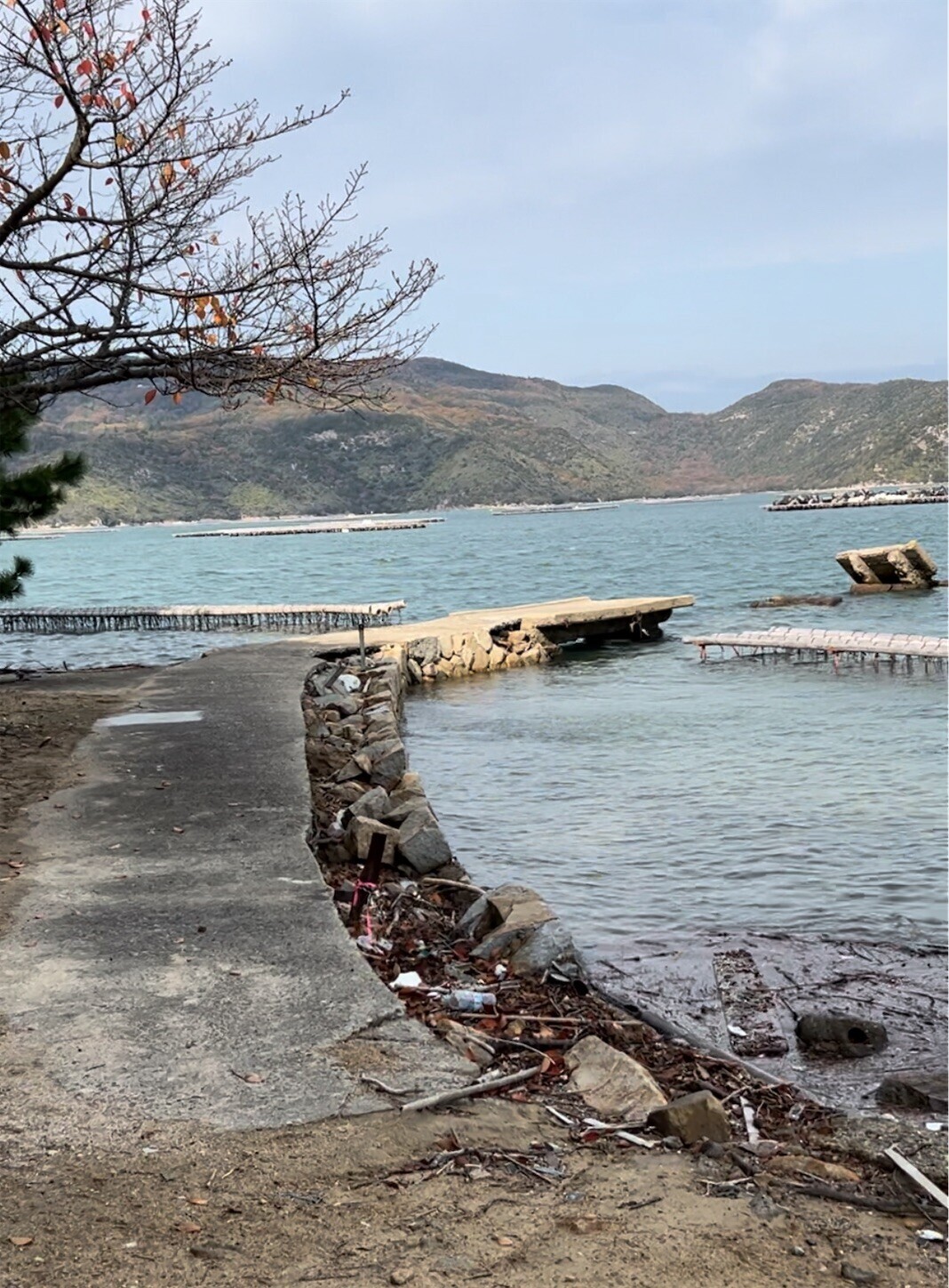 f:id:dollyosaka:20231129192647j:image