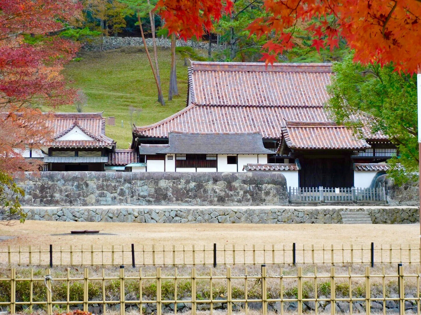 f:id:dollyosaka:20231129194308j:image