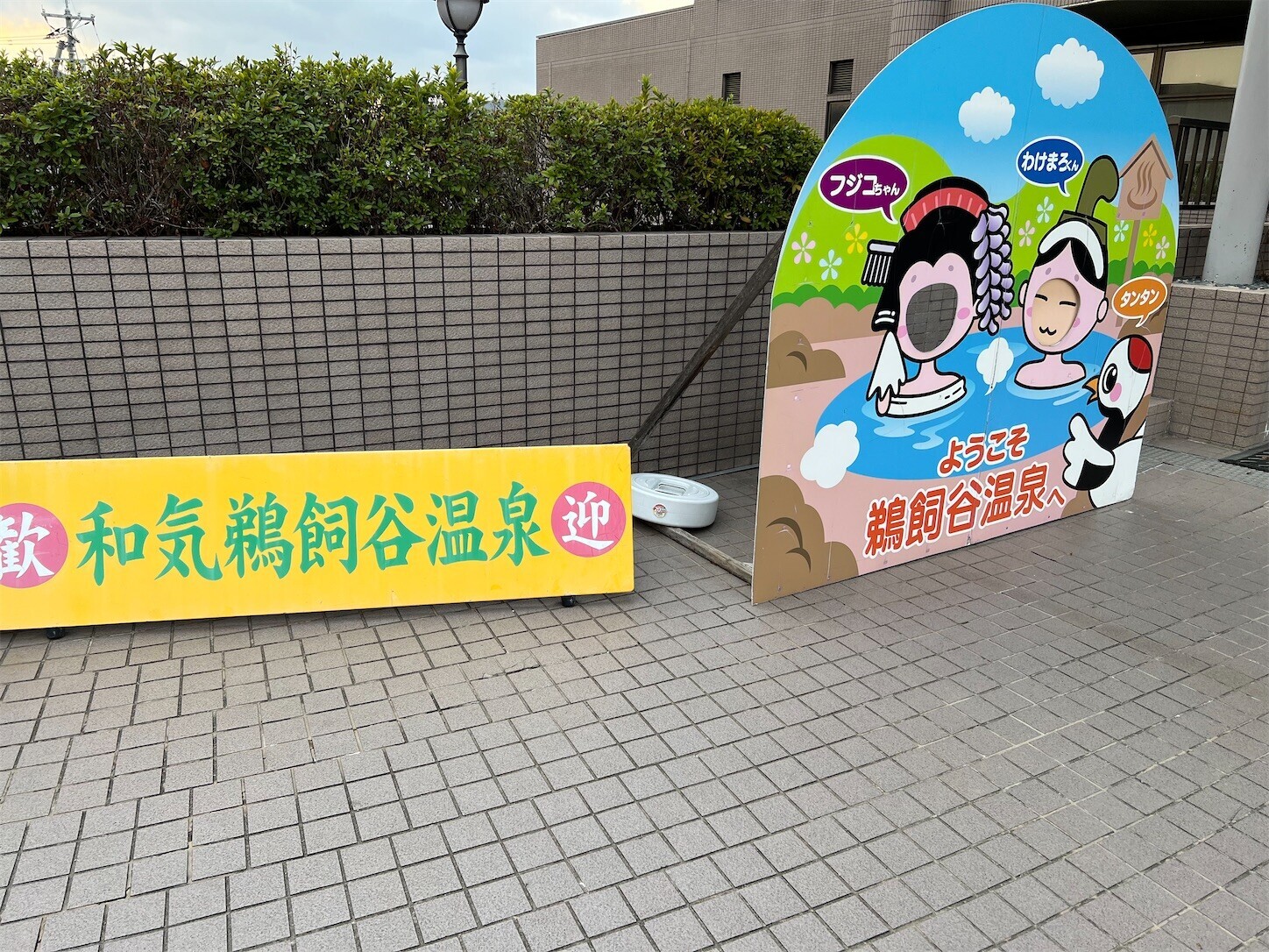 f:id:dollyosaka:20231129194428j:image