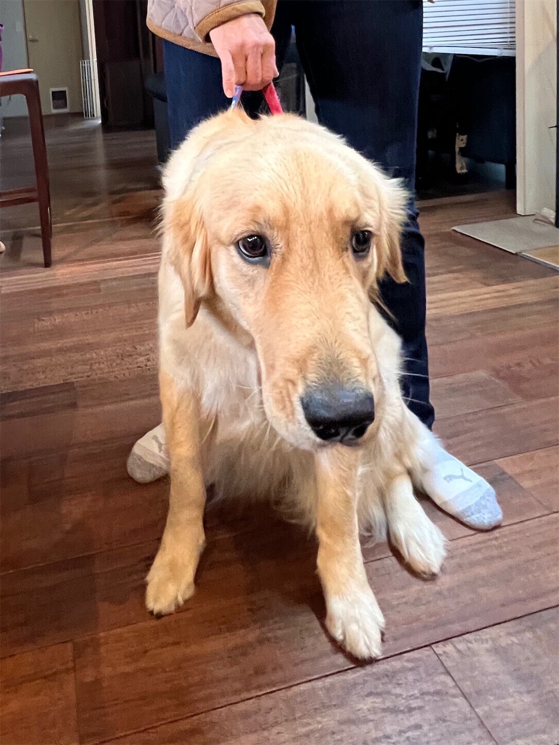 f:id:dollyosaka:20240223201540j:image