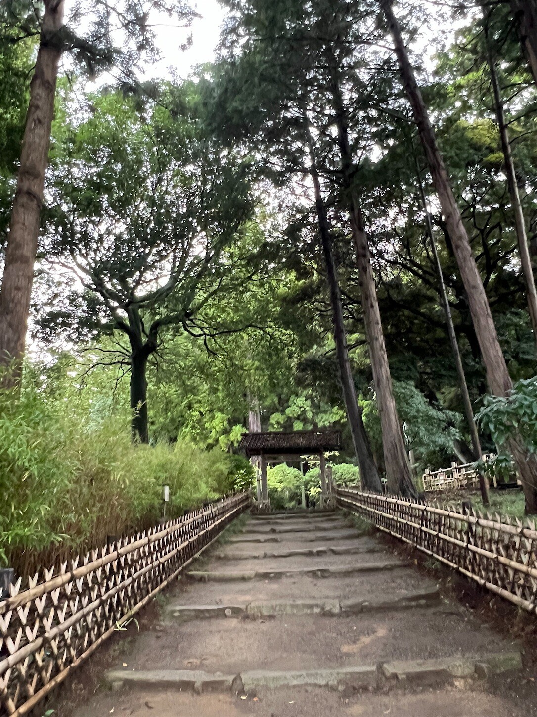 f:id:dollyosaka:20240922194626j:image