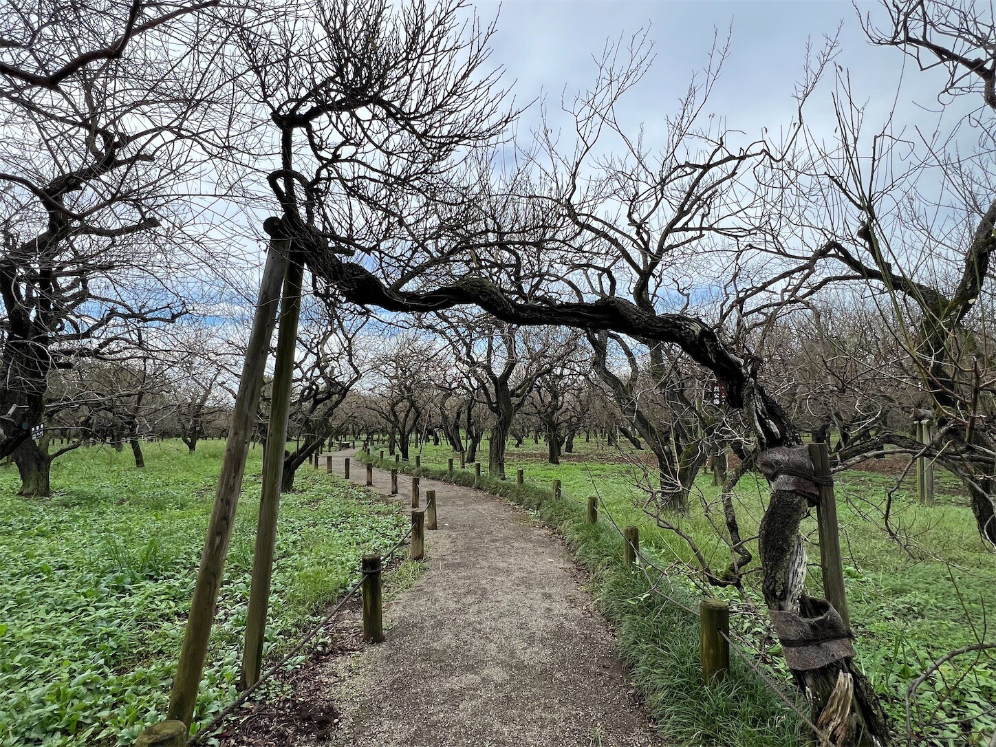 f:id:dollyosaka:20240922194632j:image