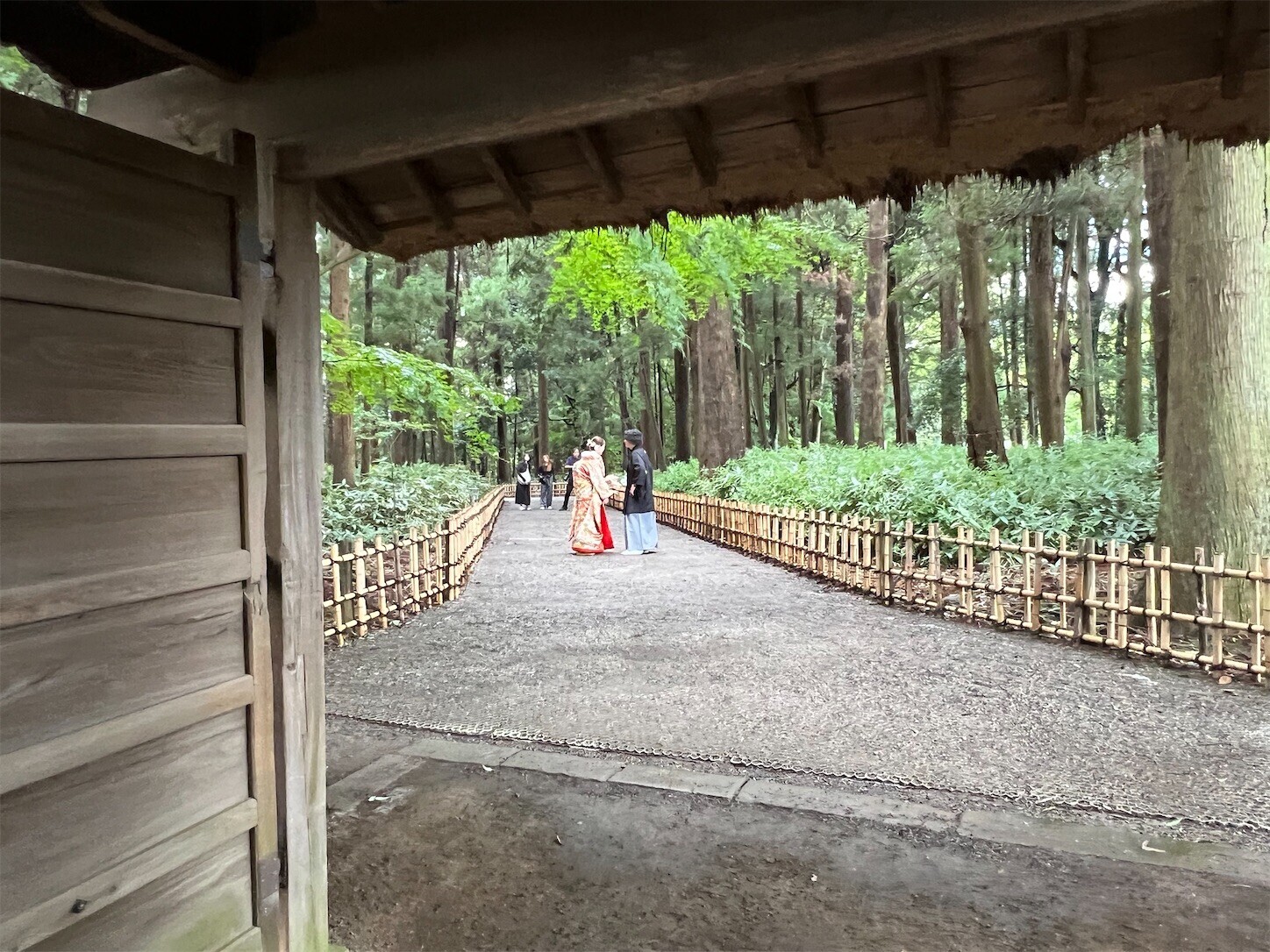 f:id:dollyosaka:20240922194636j:image