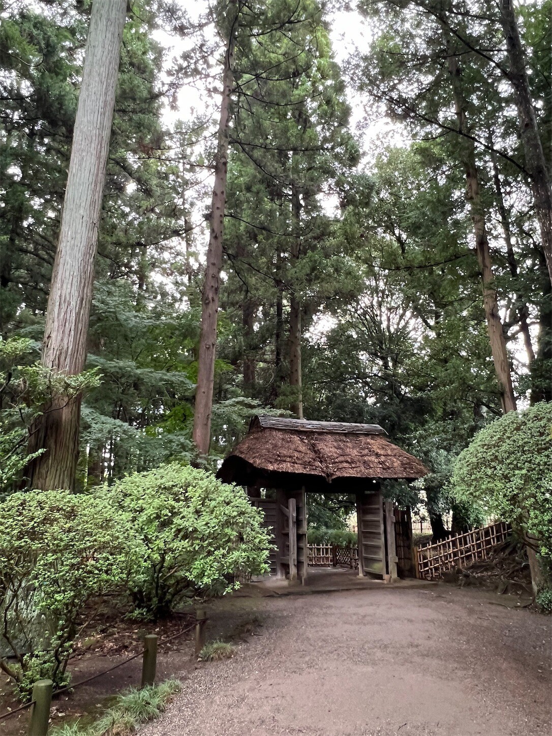 f:id:dollyosaka:20240922194640j:image