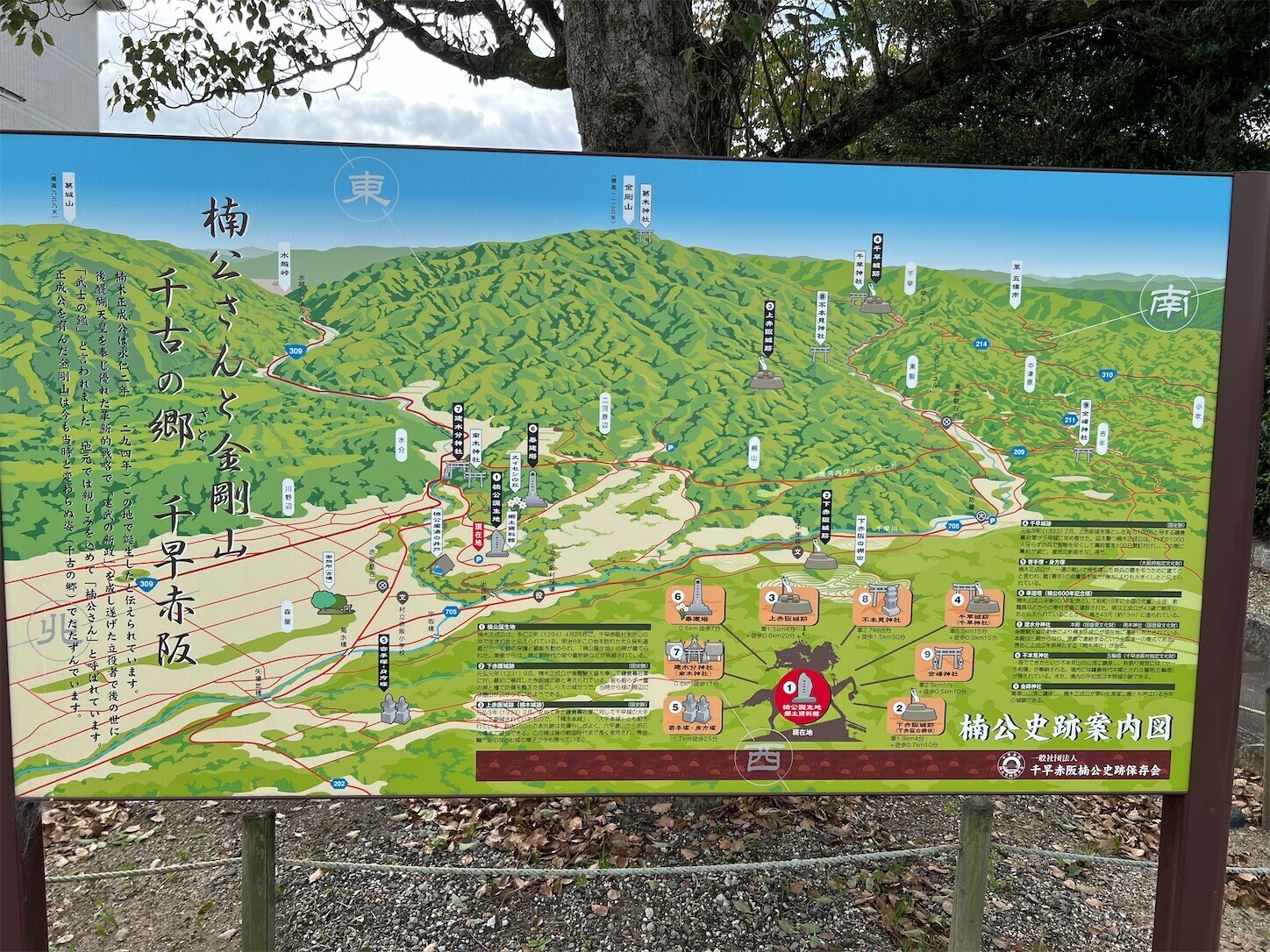 f:id:dollyosaka:20241018141602j:image f:id:dollyosaka:20241018141602j:image