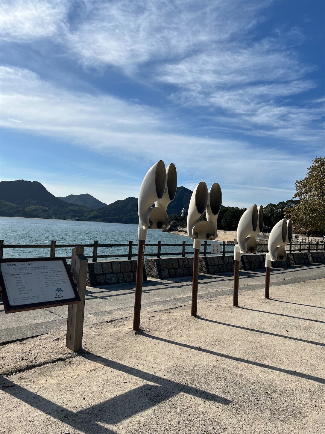 f:id:dollyosaka:20241026163706j:image