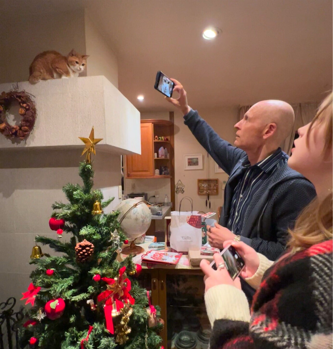 f:id:dollyosaka:20241223001520j:image