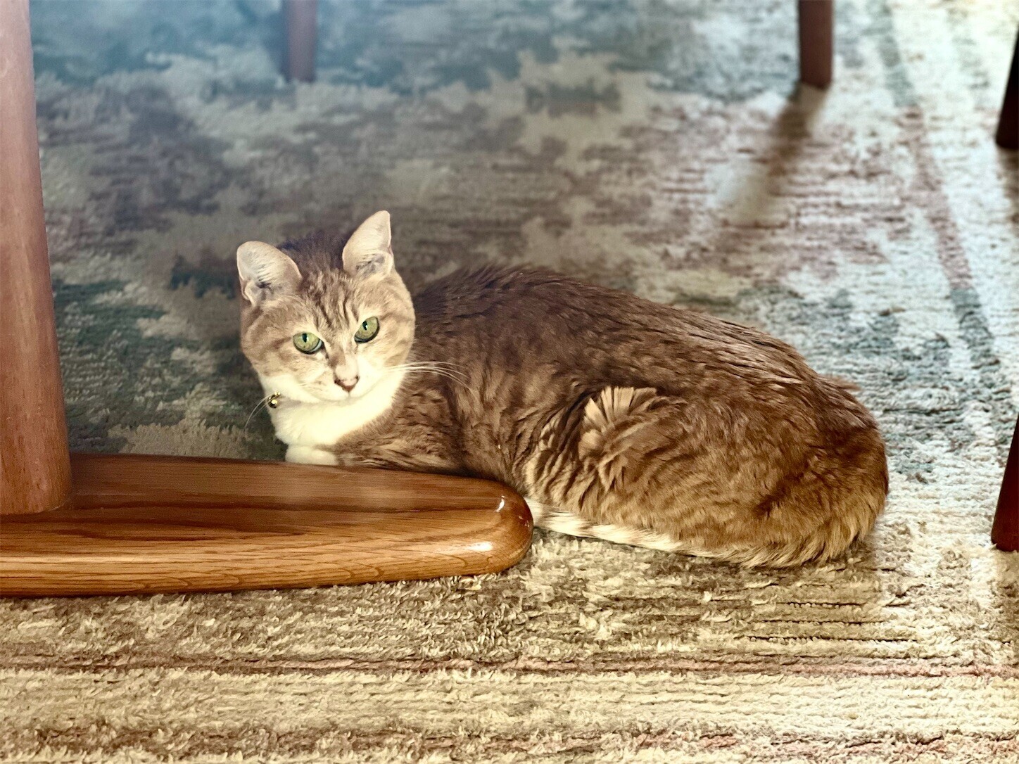 f:id:dollyosaka:20250403220600j:image