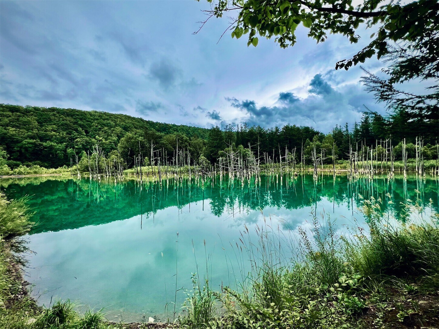 f:id:dollyosaka:20250829223812j:image