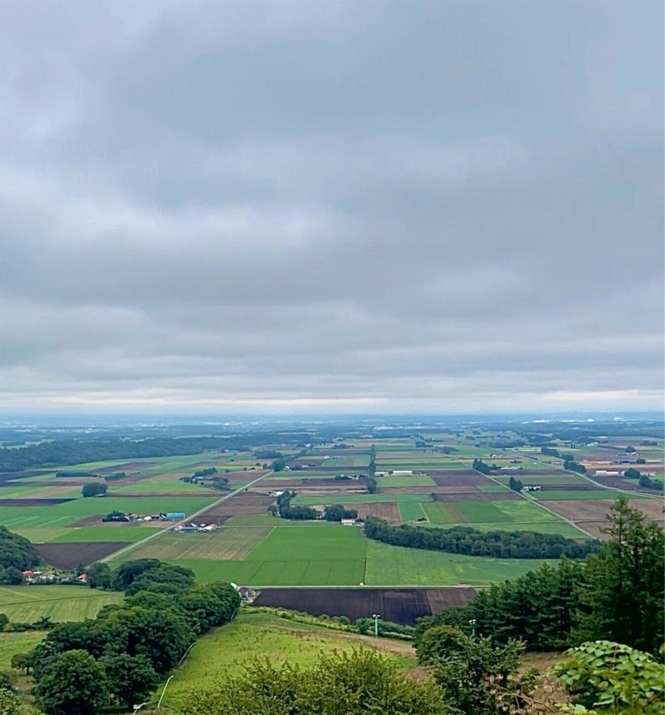 f:id:dollyosaka:20250831170856j:image