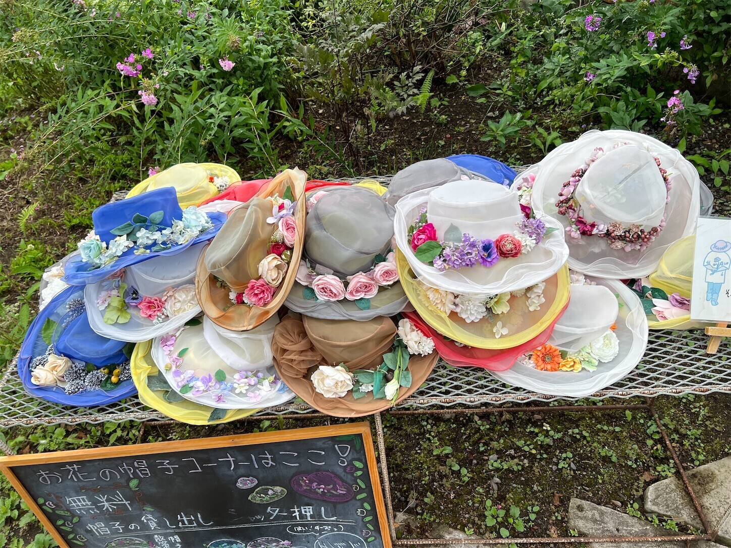 f:id:dollyosaka:20250902191815j:image f:id:dollyosaka:20250902191815j:image