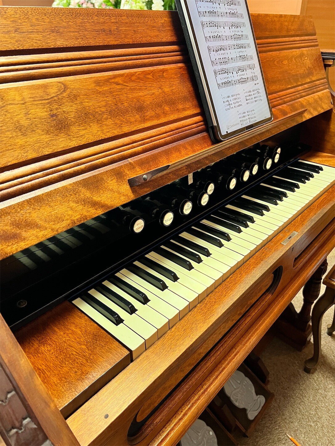 f:id:dollyosaka:20251119074827j:image