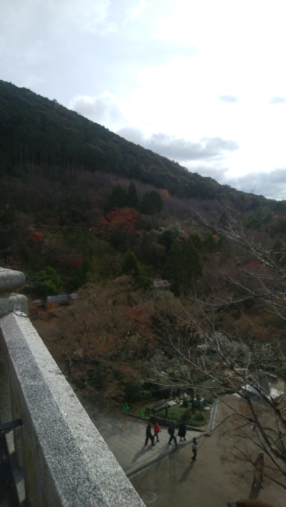 f:id:dolphblog:20190126174307j:plain