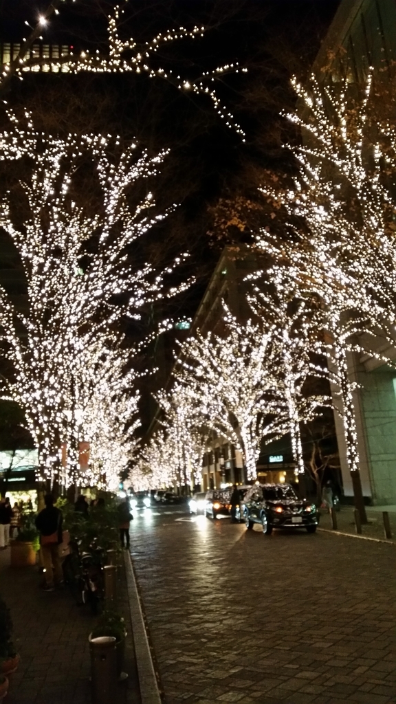 f:id:dolphblog:20190212004106j:plain