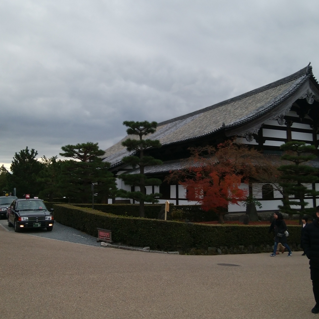 f:id:dolphblog:20190217014000j:plain