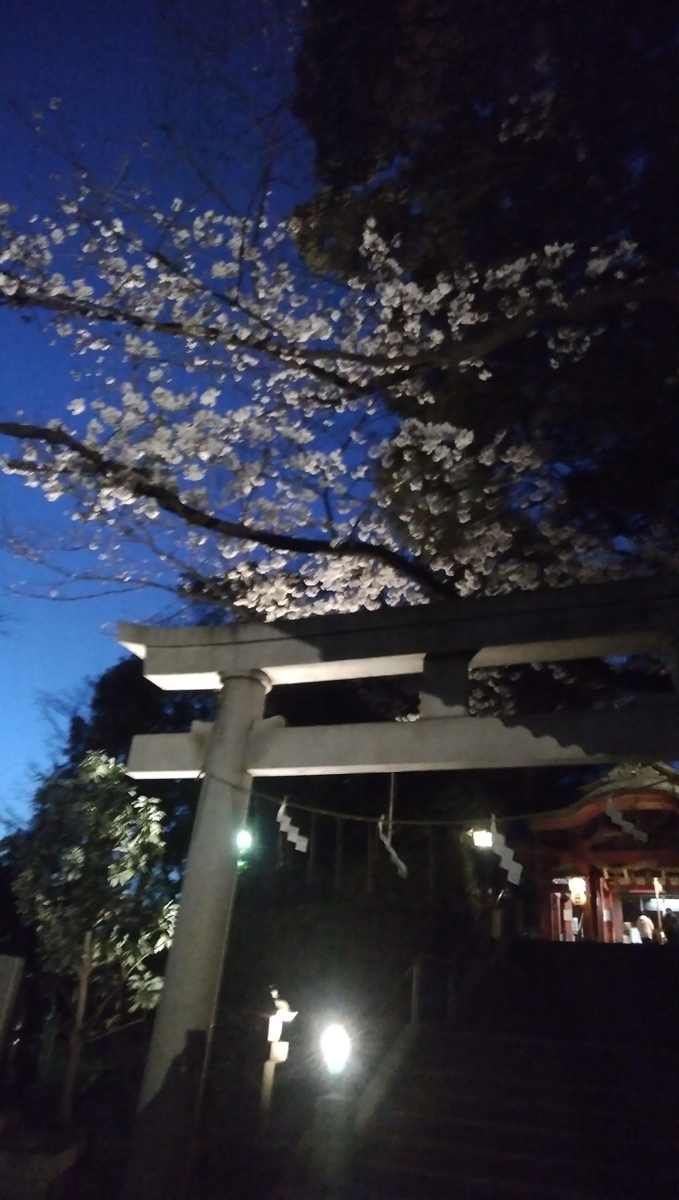 f:id:dolphblog:20190409203604j:plain