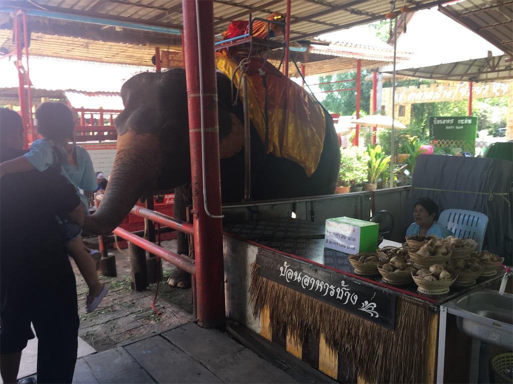 f:id:dolphin400sf:20251024163221j:image