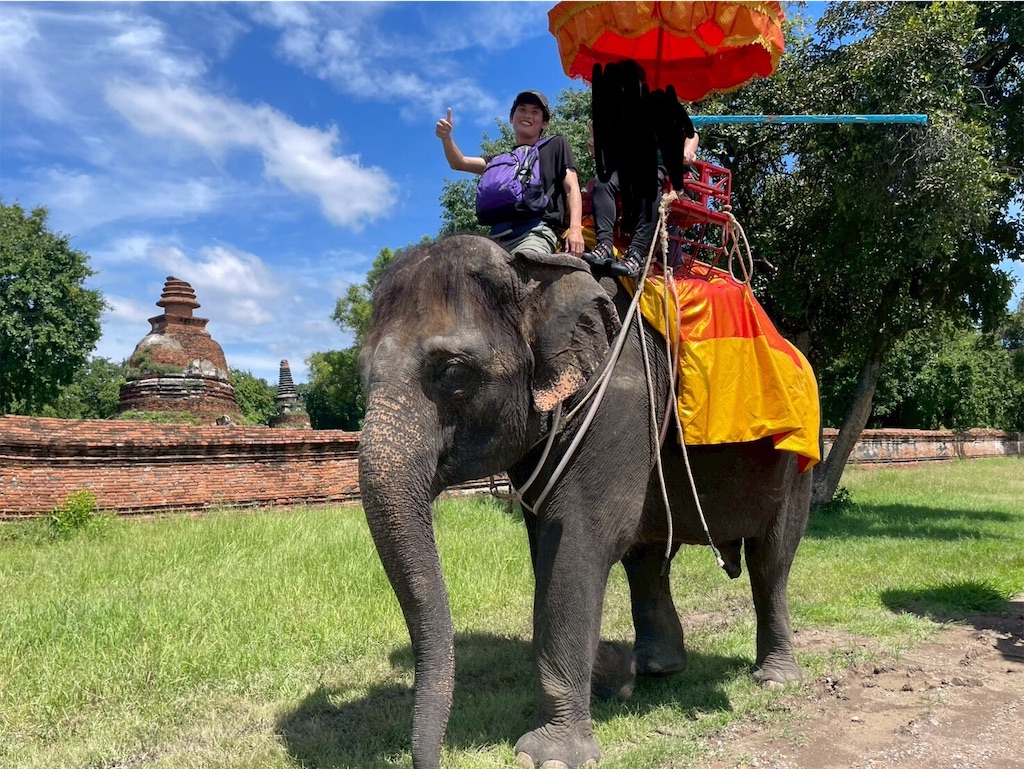 f:id:dolphin400sf:20251024170225j:image