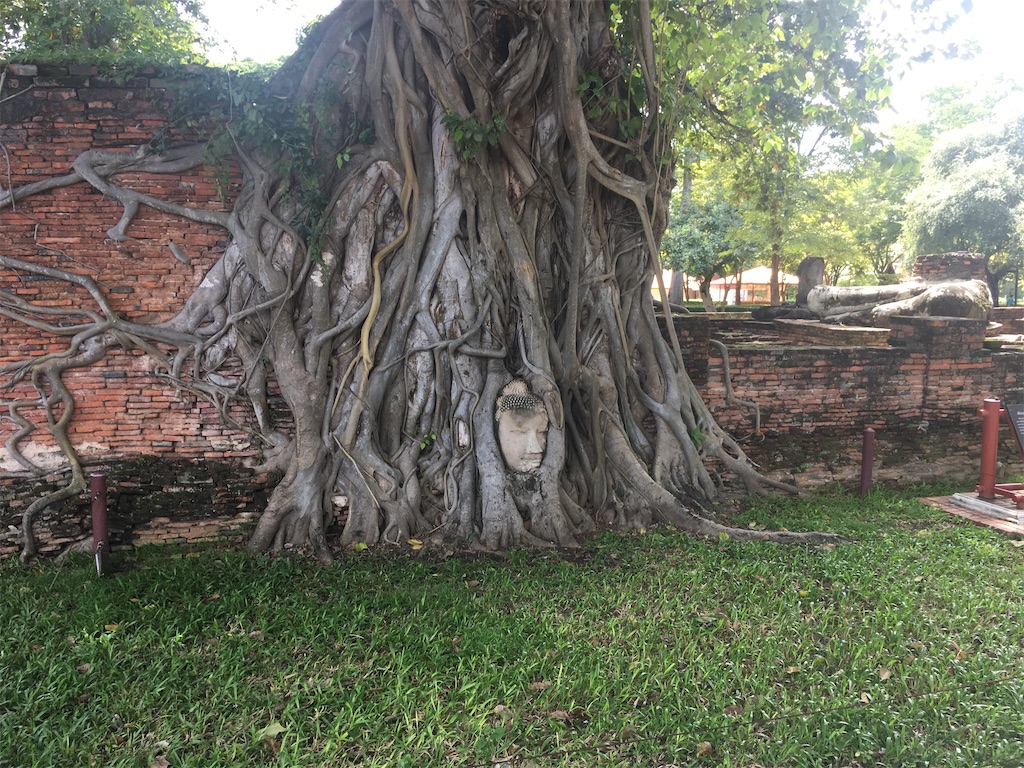 f:id:dolphin400sf:20251024172913j:image