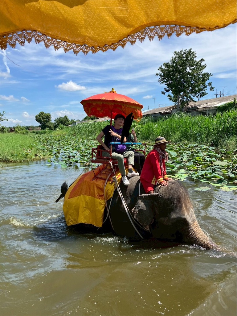 f:id:dolphin400sf:20251024173535j:image