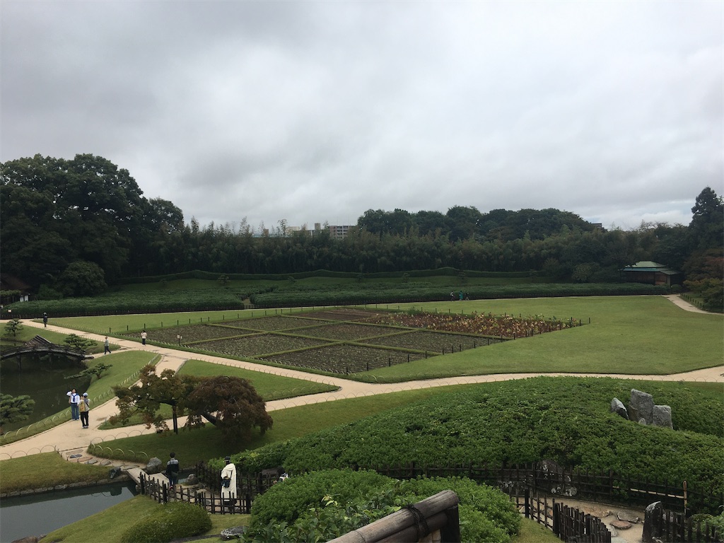 f:id:dolphin400sf:20251106073902j:image