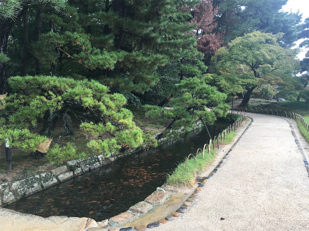 f:id:dolphin400sf:20251106073907j:image