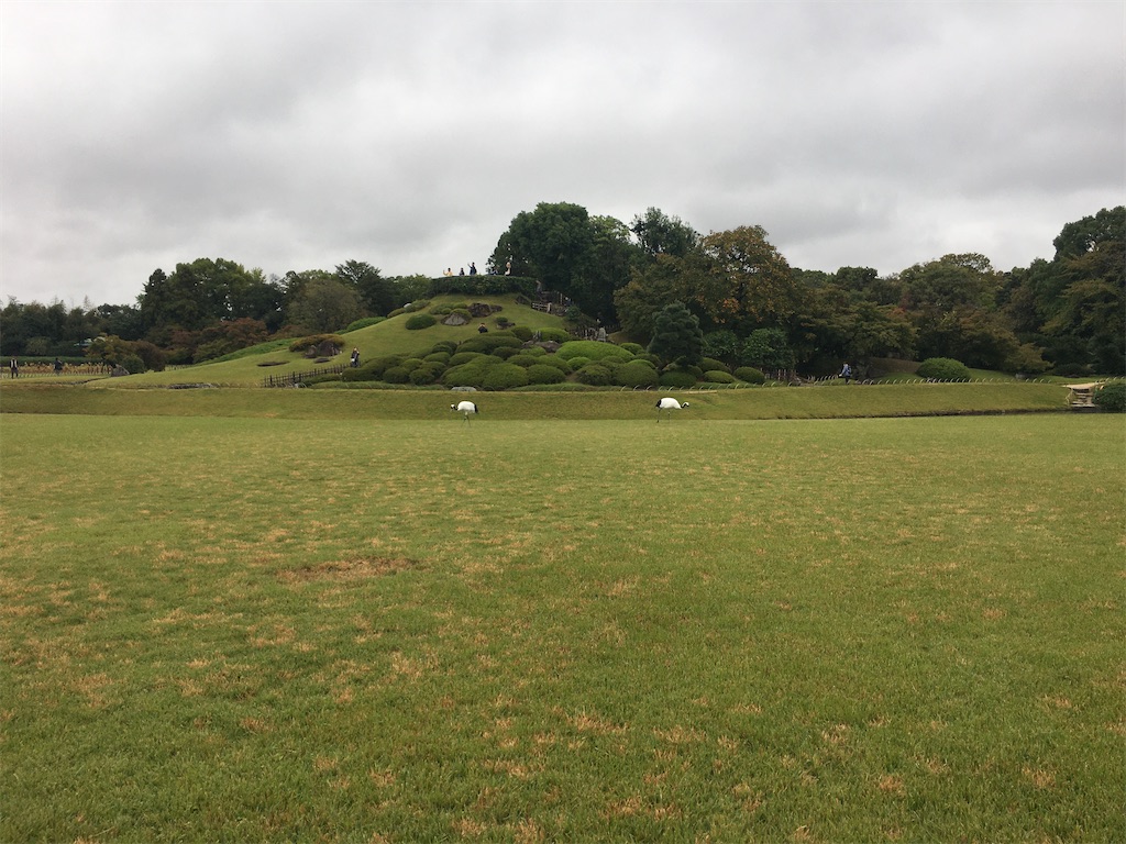 f:id:dolphin400sf:20251106074226j:image