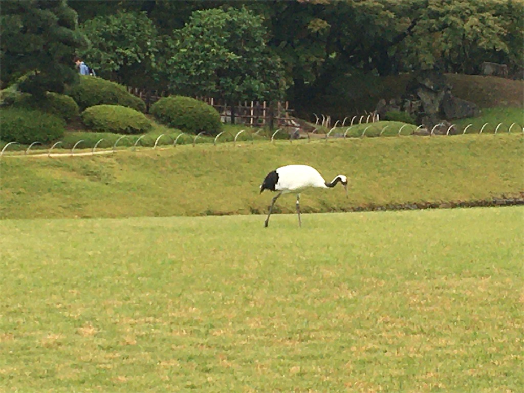 f:id:dolphin400sf:20251106085453j:image