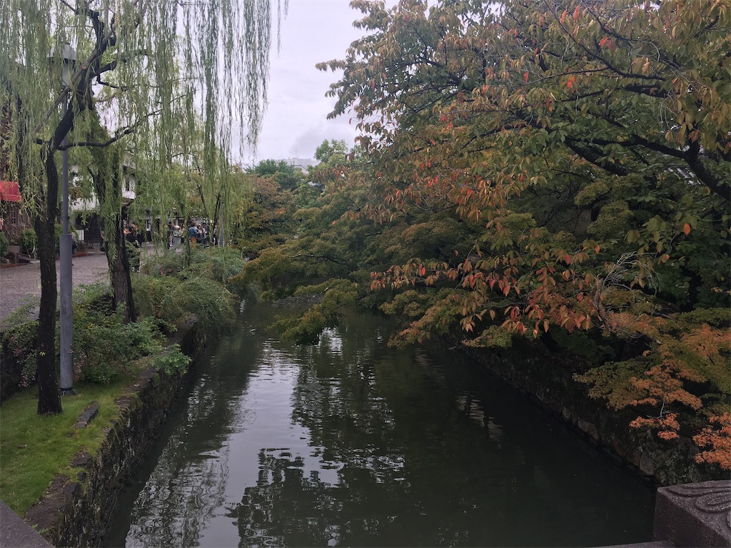 f:id:dolphin400sf:20251106090752j:image