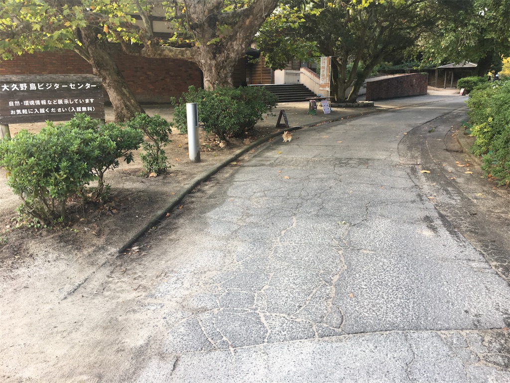 f:id:dolphin400sf:20251106093837j:image