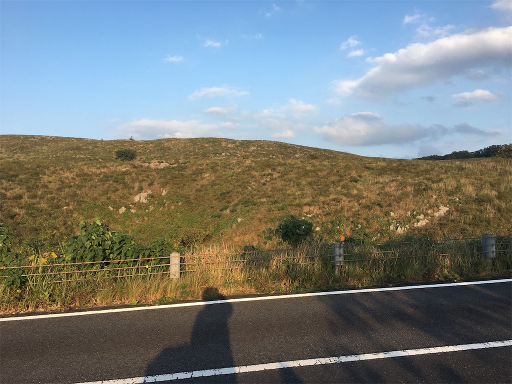 f:id:dolphin400sf:20251106123958j:image