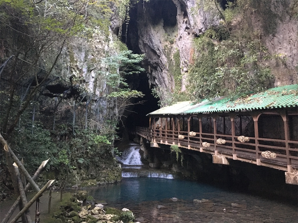 f:id:dolphin400sf:20251106151104j:image