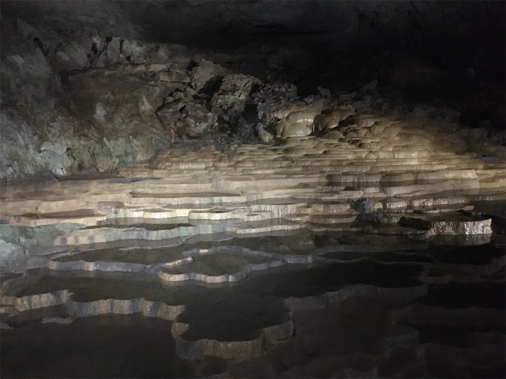 f:id:dolphin400sf:20251106151108j:image