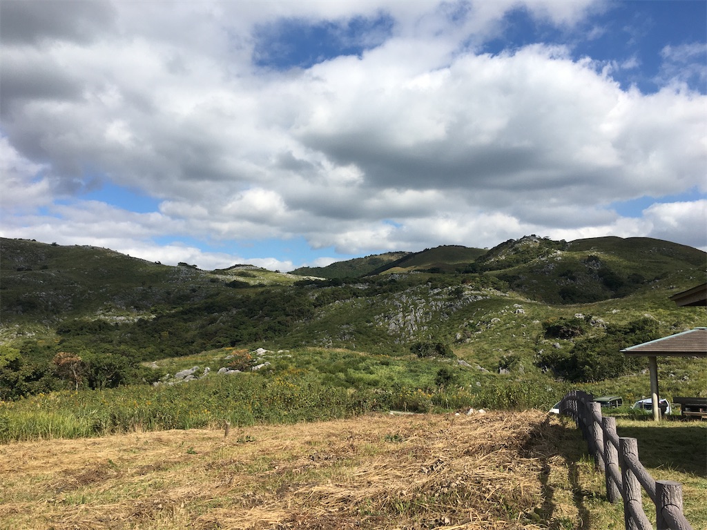 f:id:dolphin400sf:20251106165306j:image