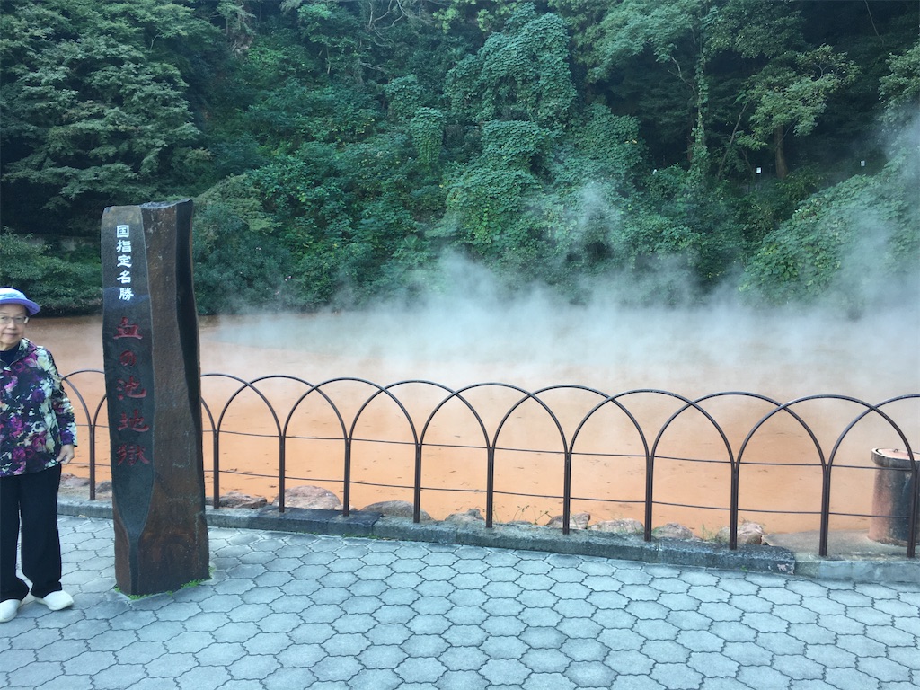 f:id:dolphin400sf:20251106194846j:image