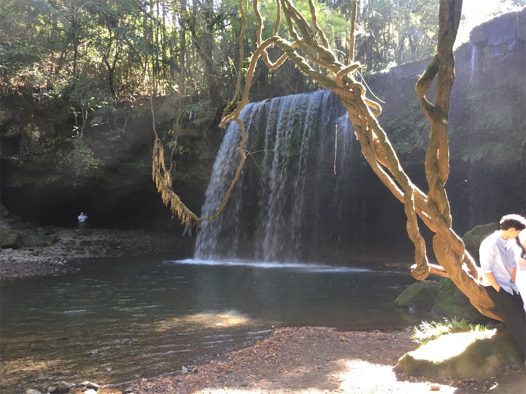 f:id:dolphin400sf:20251107141104j:image