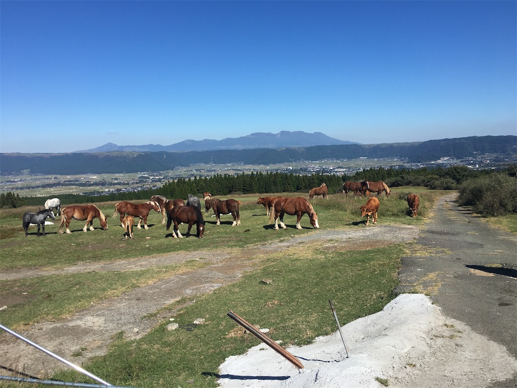 f:id:dolphin400sf:20251107151545j:image