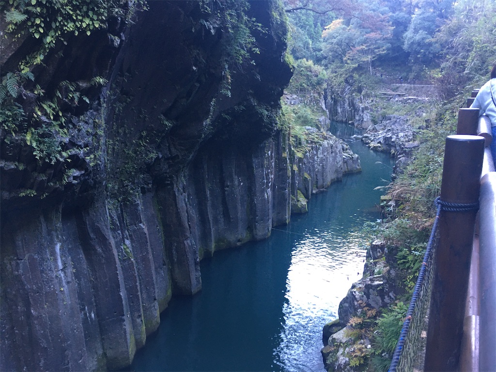 f:id:dolphin400sf:20251107154112j:image